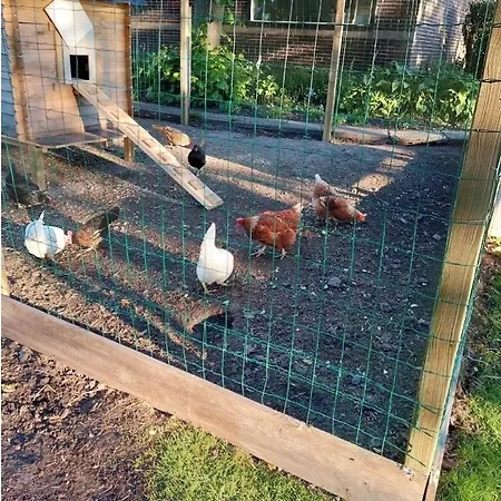 公寓 Landelijk Vlakbij Amsterdam Wijdewormer